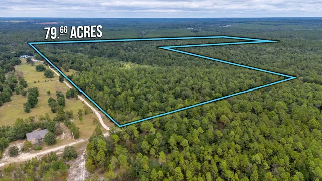 $524,683 | 79-acres Bucking Up Road, Laurel Hill, FL 32567