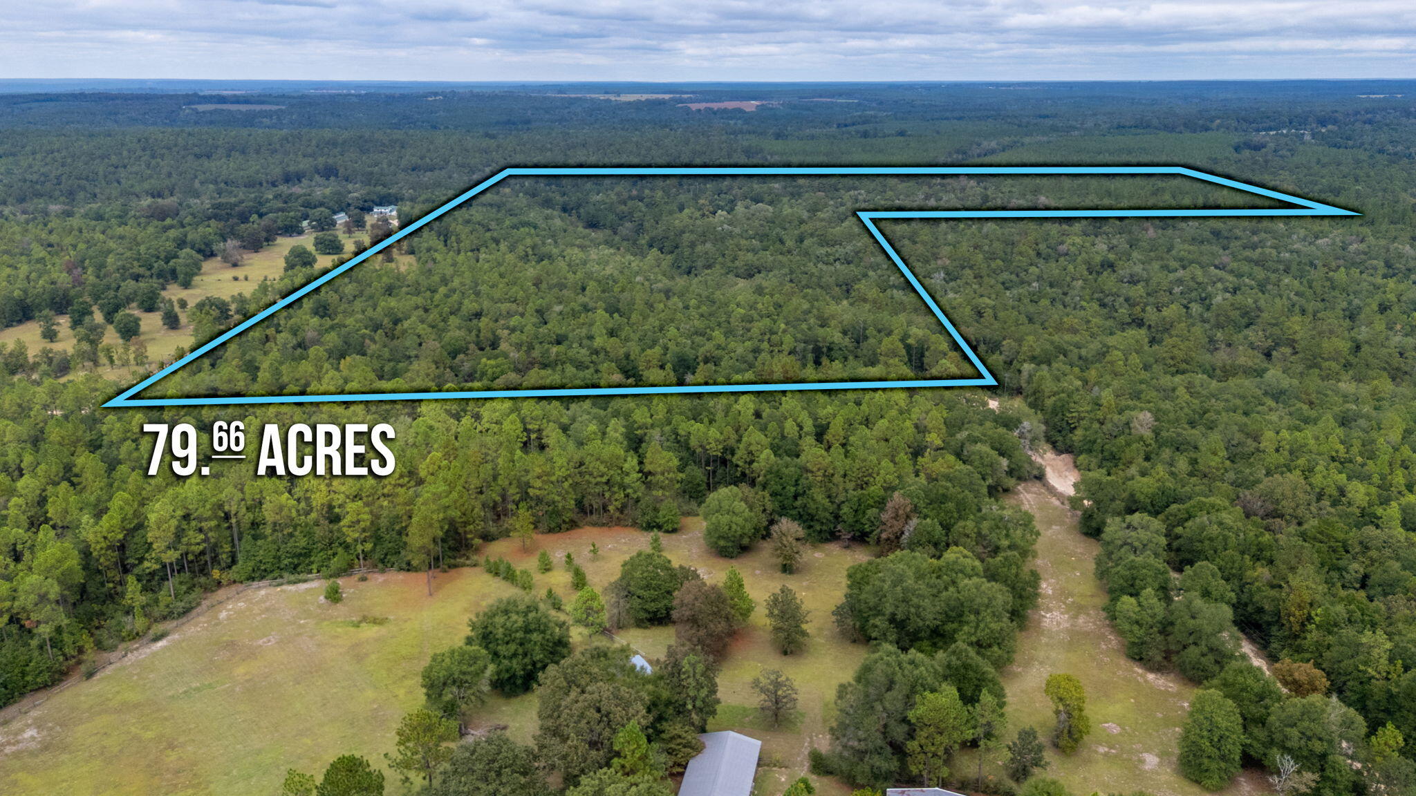79-acres Bucking Up Road Laurel Hill, FL 32567 - Photo 2 of 8 1-web-or-mls-bucking-up-rd