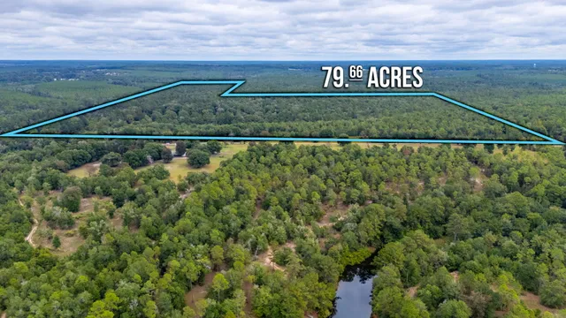 $524,683 | 79-acres Bucking Up Road, Laurel Hill, FL 32567