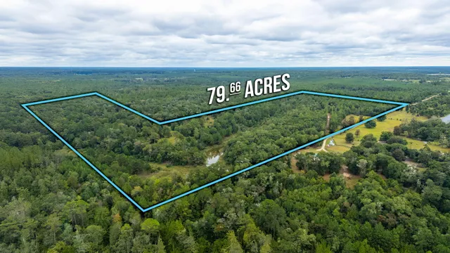 $524,683 | 79-acres Bucking Up Road, Laurel Hill, FL 32567