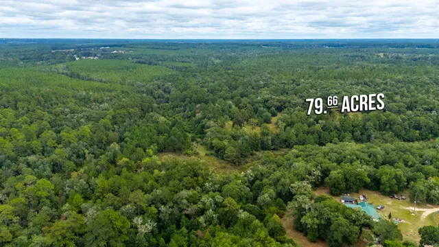 $524,683 | 79-acres Bucking Up Road, Laurel Hill, FL 32567