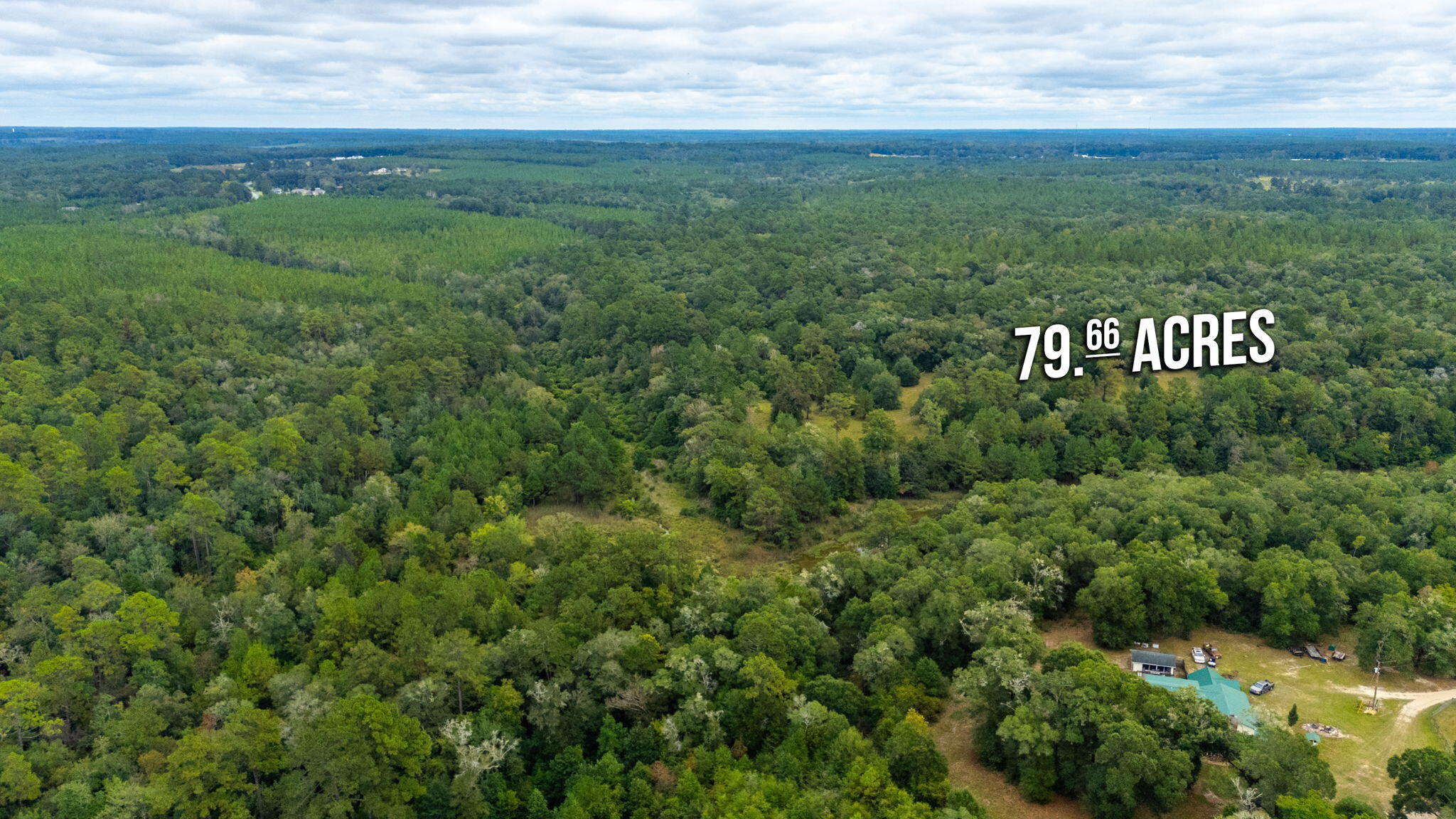 79-acres Bucking Up Road Laurel Hill, FL 32567 - Photo 5 of 8 5-web-or-mls-bucking-up-rd