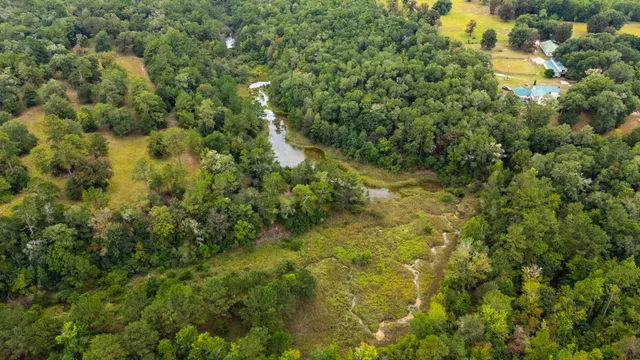 $524,683 | 79-acres Bucking Up Road, Laurel Hill, FL 32567