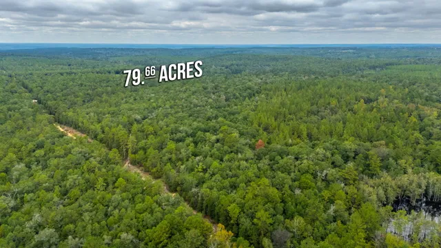 $524,683 | 79-acres Bucking Up Road, Laurel Hill, FL 32567