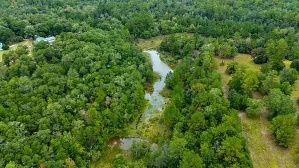 $524,683 | 79-acres Bucking Up Road, Laurel Hill, FL 32567