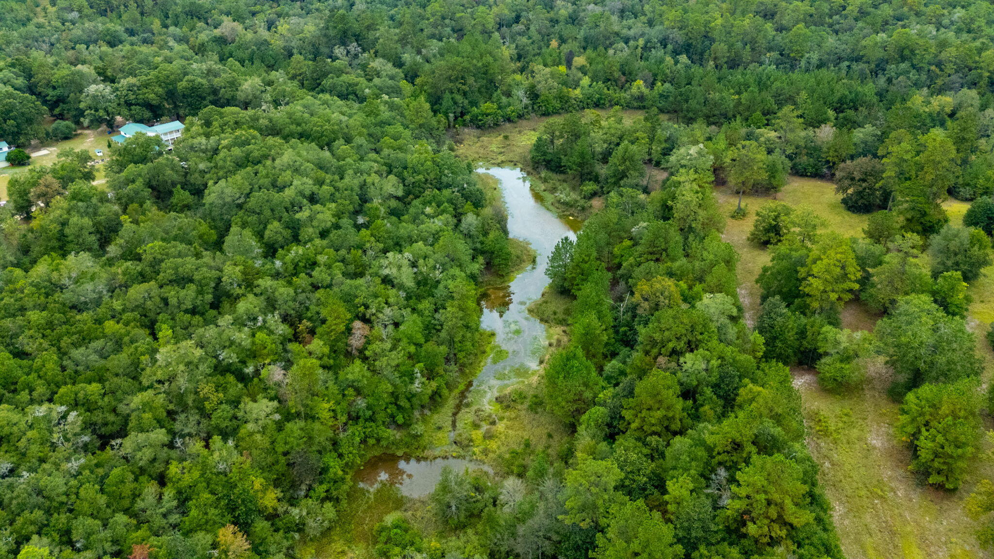 79-acres Bucking Up Road Laurel Hill, FL 32567 - Photo 8 of 8 8-web-or-mls-bucking-up-rd