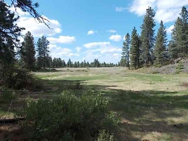 0 North Old Trails Road Spokane, WA 99224 - Photo 1 of 8
