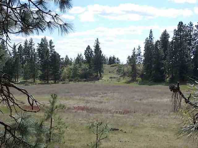 0 North Old Trails Road Spokane, WA 99224 - Photo 2 of 8