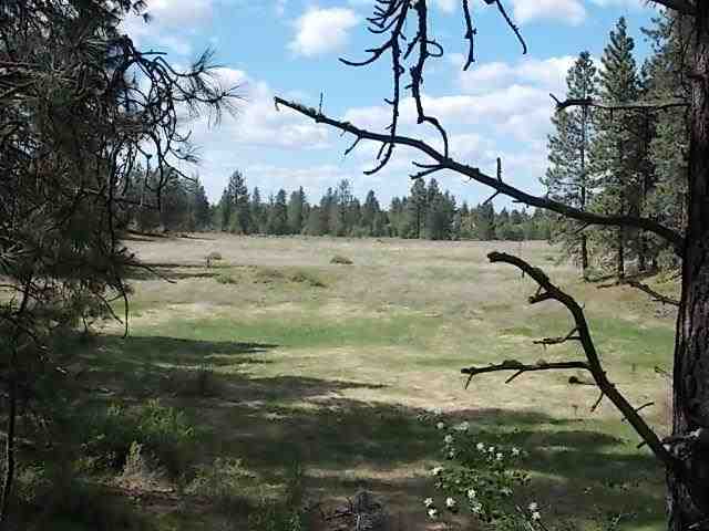 0 North Old Trails Road Spokane, WA 99224 - Photo 3 of 8