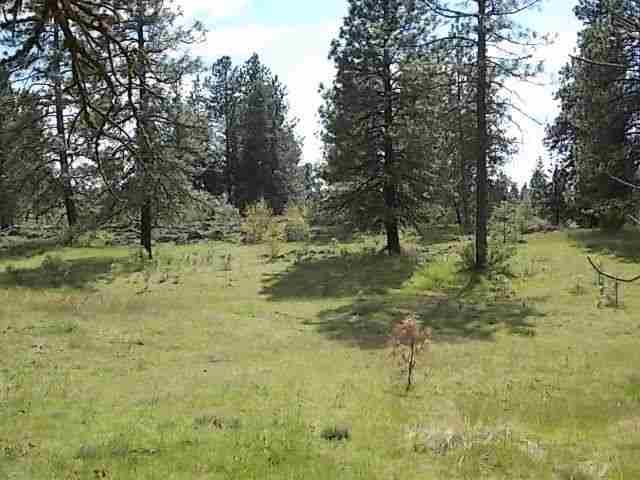 0 North Old Trails Road Spokane, WA 99224 - Photo 4 of 8