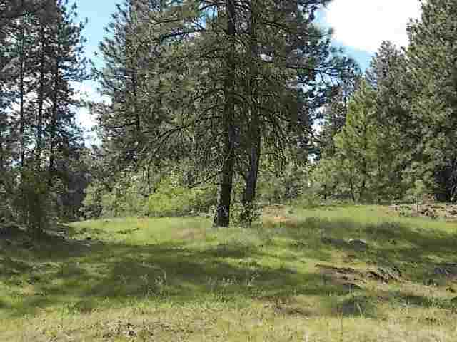 0 North Old Trails Road Spokane, WA 99224 - Photo 5 of 8