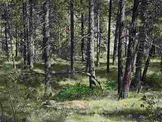 0 North Old Trails Road Spokane, WA 99224 - Photo 6 of 8