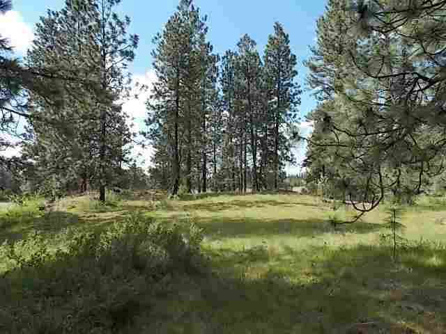 0 North Old Trails Road Spokane, WA 99224 - Photo 8 of 8