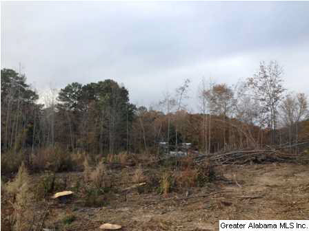 Rock Church Road, Unit 7 3 Sylacauga, AL 35150 - Photo 21 of 27 Gallery Image 21