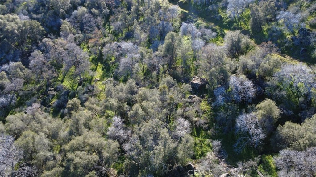 0 Ruth Hill Road Squaw Valley, CA 93675 - Photo 21 of 32