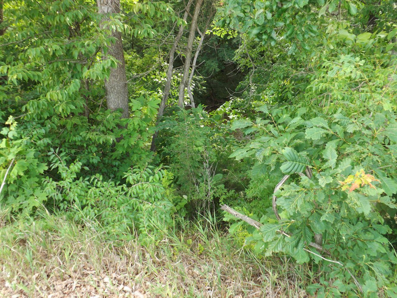 0 Fetters Road Bradford, OH 45308 - Photo 48 of 56