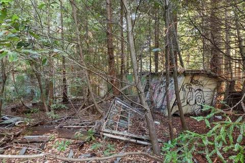 a backyard of a house with lots of green space