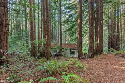 a backyard of a house with lots of green space
