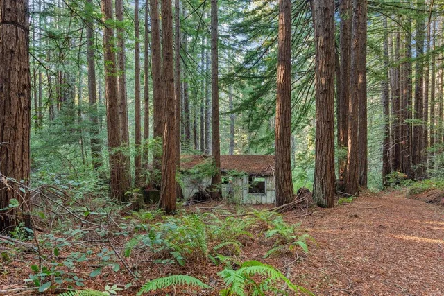 $750,000 | 3946 Tunitas Creek Road, Half Moon Bay, CA 94019