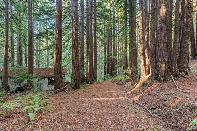 $750,000 | 3946 Tunitas Creek Road, Half Moon Bay, CA 94019