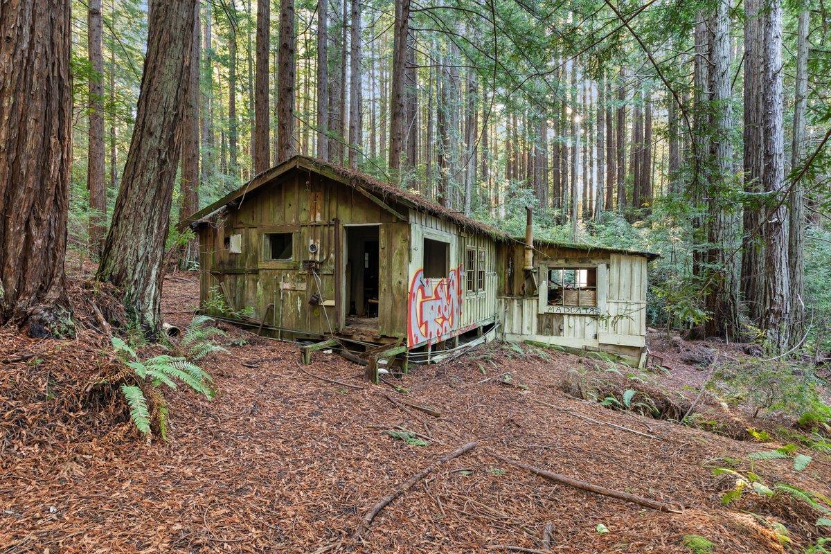 3946 Tunitas Creek Road Half Moon Bay, CA 94019 - Photo 17 of 23