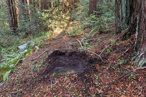 a view of outdoor space with lots of trees