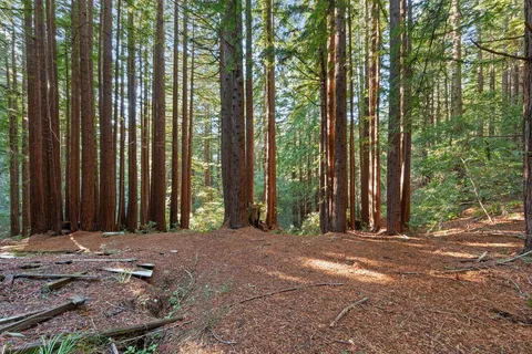 a view of outdoor space with chairs
