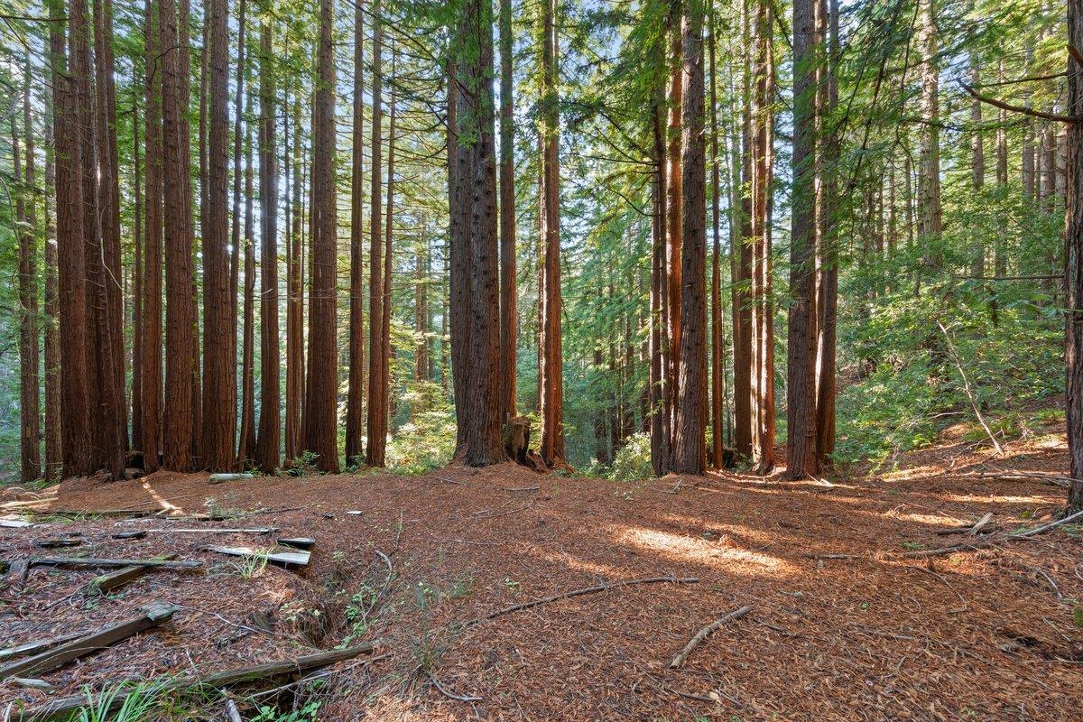 3946 Tunitas Creek Road Half Moon Bay, CA 94019 - Photo 19 of 23