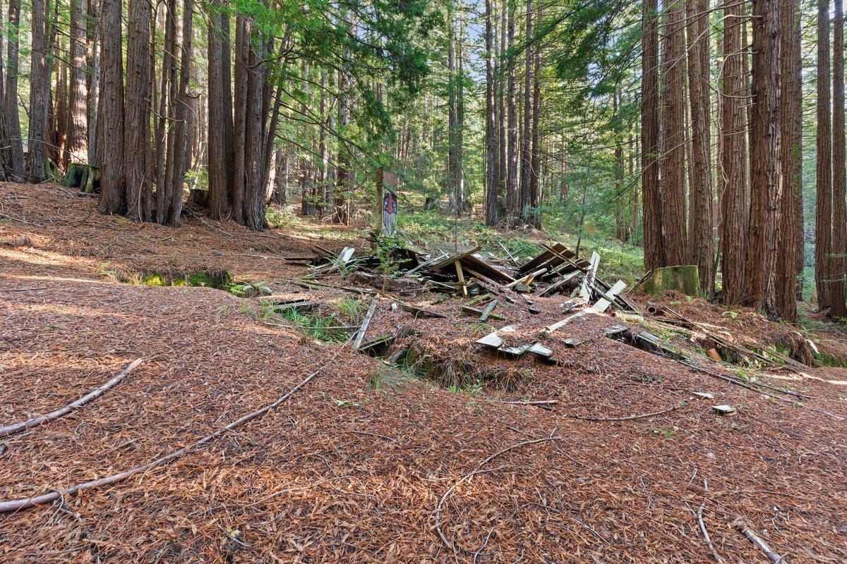 3946 Tunitas Creek Road Half Moon Bay, CA 94019 - Photo 20 of 23