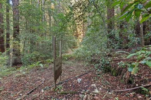 a view of an outdoor space