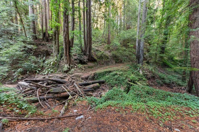 $750,000 | 3946 Tunitas Creek Road, Half Moon Bay, CA 94019