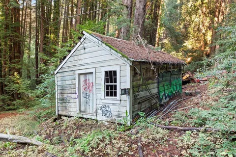a view of house with backyard and garden