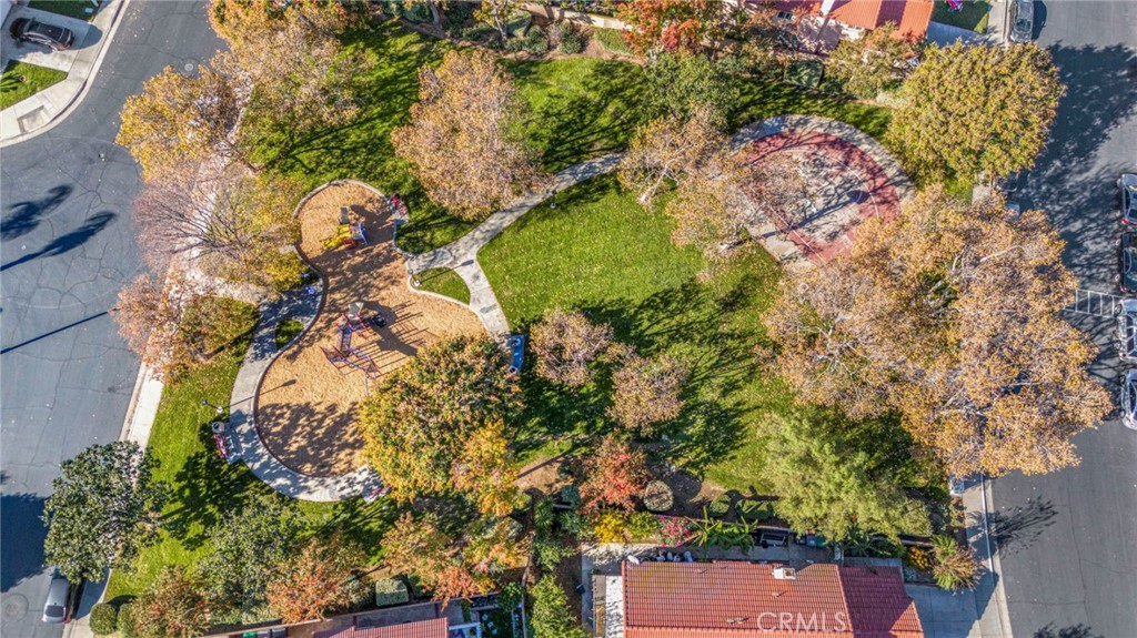 3670 Windstorm Way Riverside, CA 92503 - Photo 39 of 43 a picture of flowers