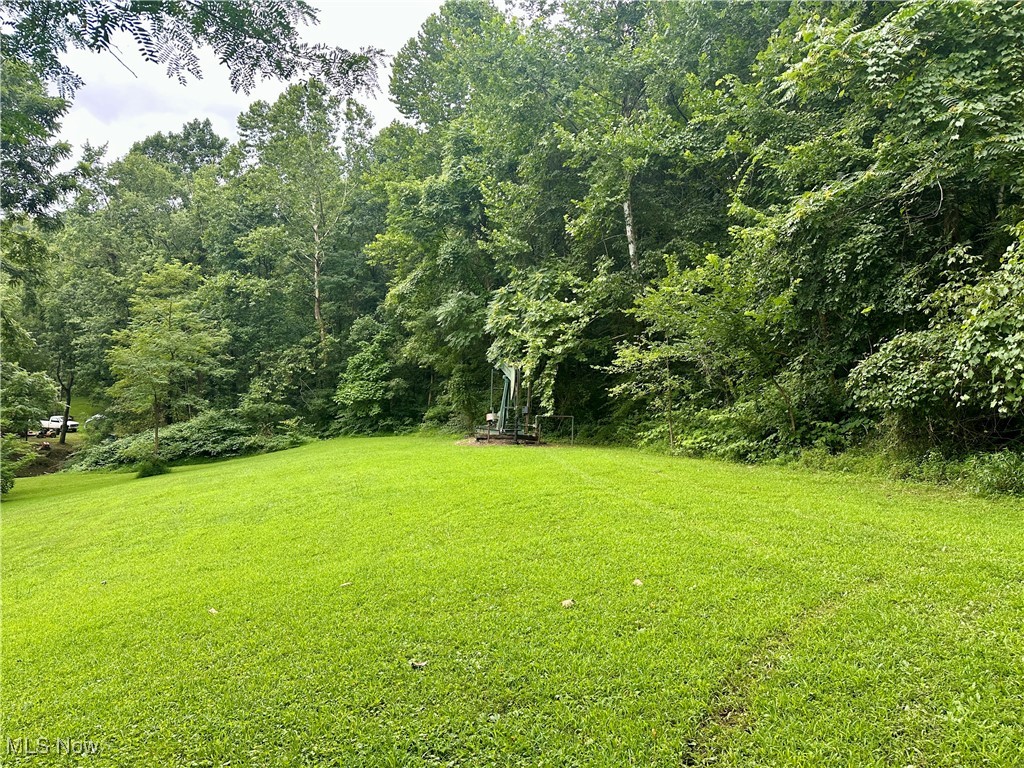 325 North Fork Road New Matamoras, OH 45767 - Photo 26 of 50 View of grassy yard