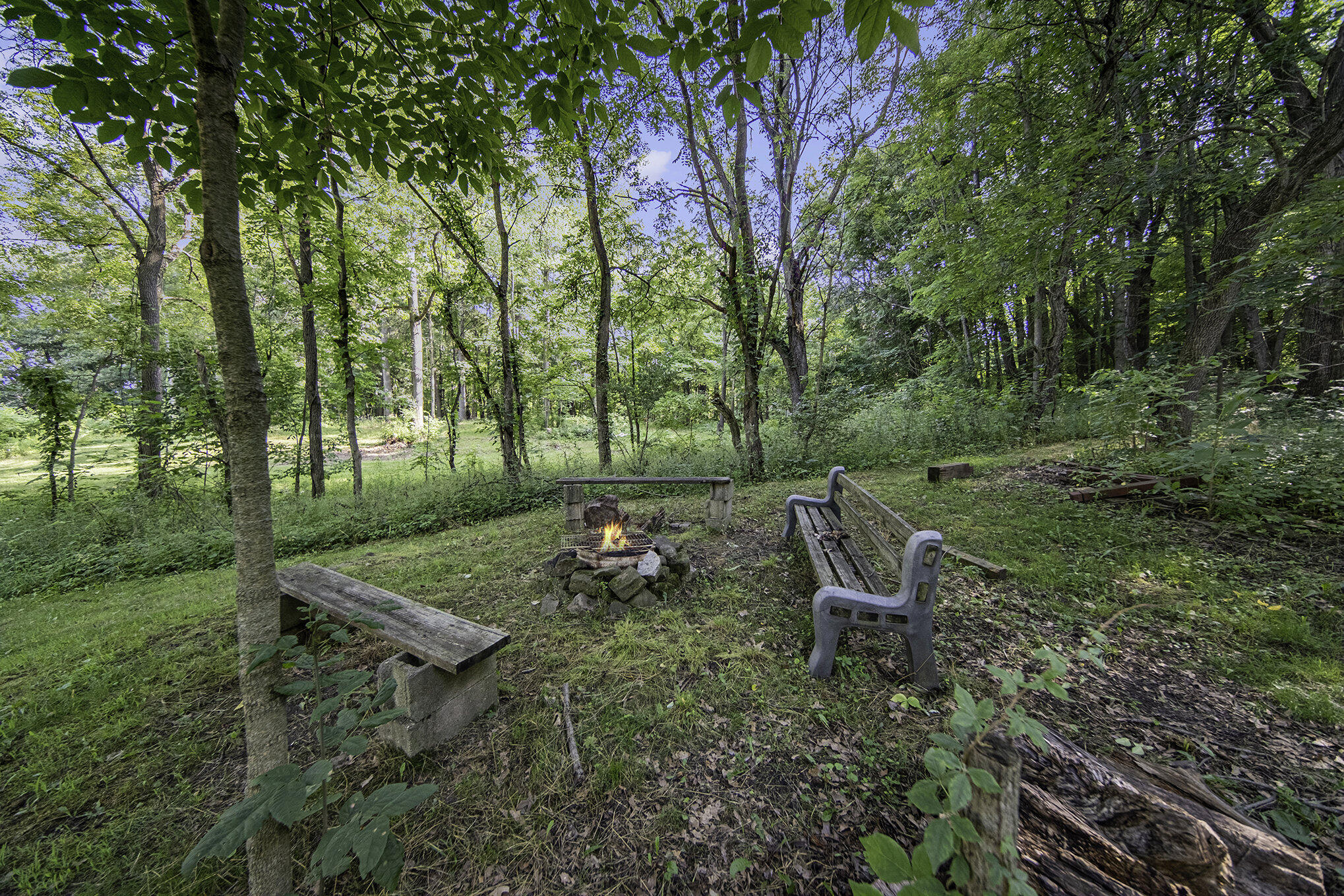 4002 Wellman Road Parma, MI 49269 - Photo 25 of 34 Fire Pit