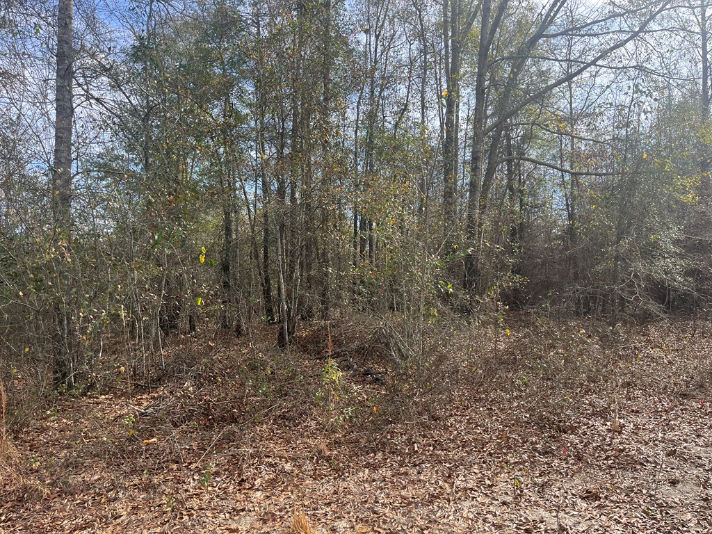 99 County Road 99 Abbeville, AL 36310 - Photo 2 of 4