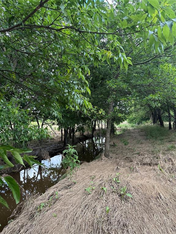 Tbd Krahl Road Valley View, TX 76272 - Photo 11 of 23 Creek area