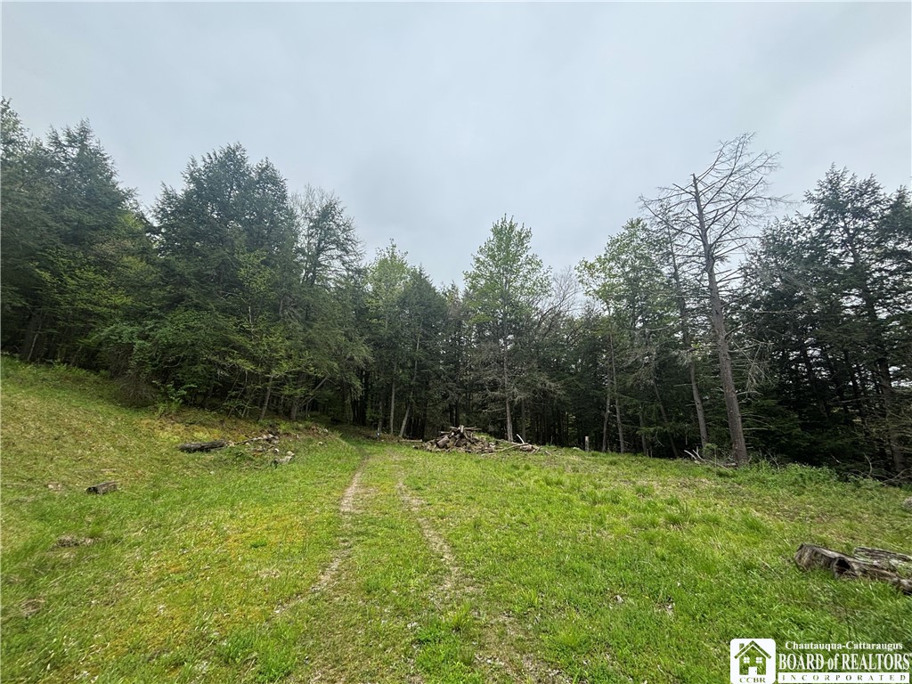 Fulmer Valley Road Wellsville, NY 14895 - Photo 20 of 49