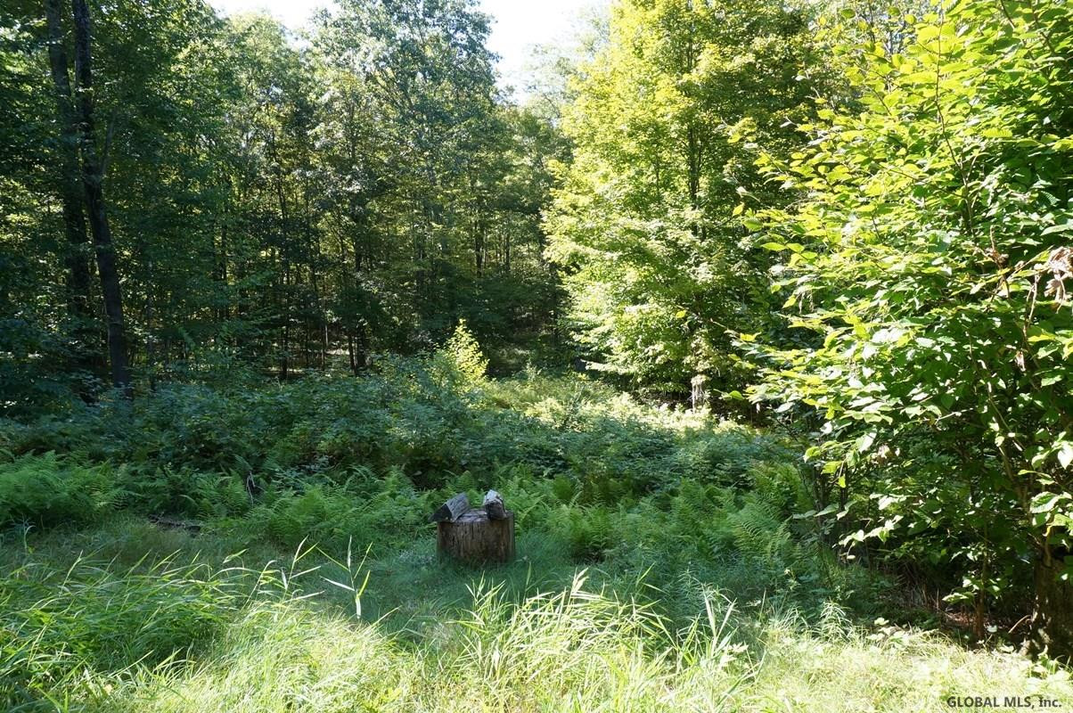 1171 Bogtown Road Hebron, NY 12865 - Photo 6 of 17 Photo 6