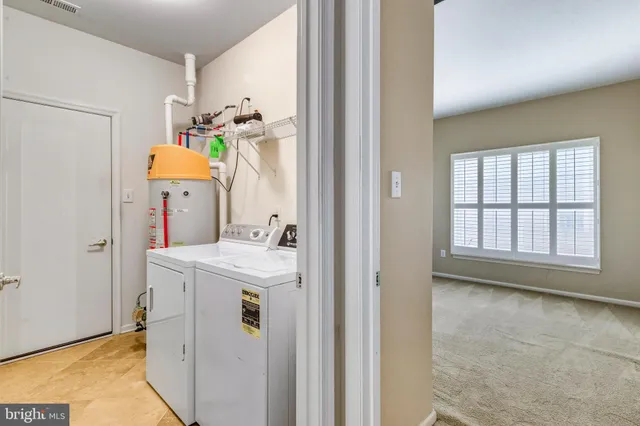 a view of a trees with a big yard