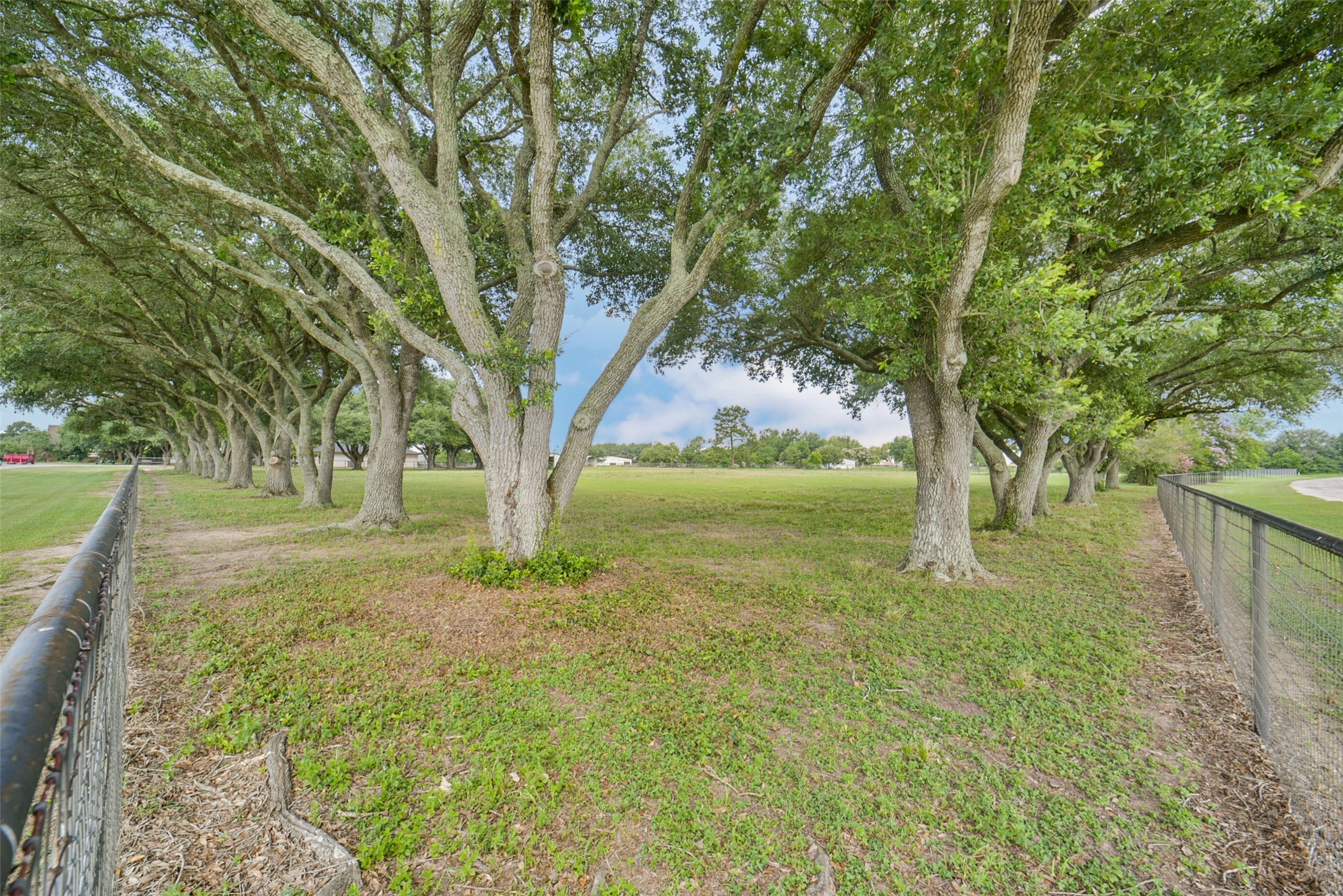 29103 Quail Nest Road Hockley, TX 77447 - Photo 21 of 49 Beautiful mature hardwoods through out the property