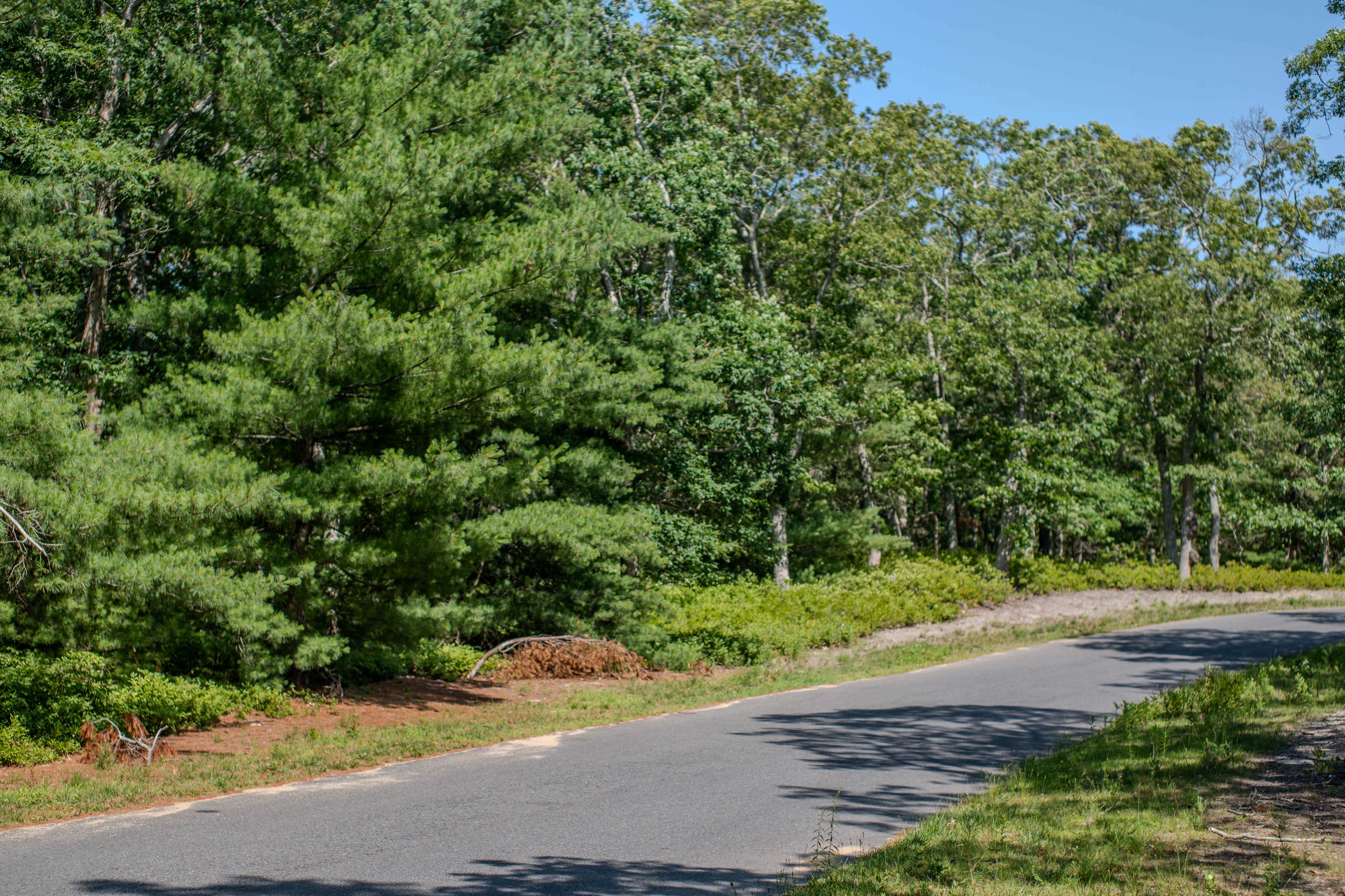 30 Double Ox Road Oak Bluffs, MA 02557 - Photo 3 of 7