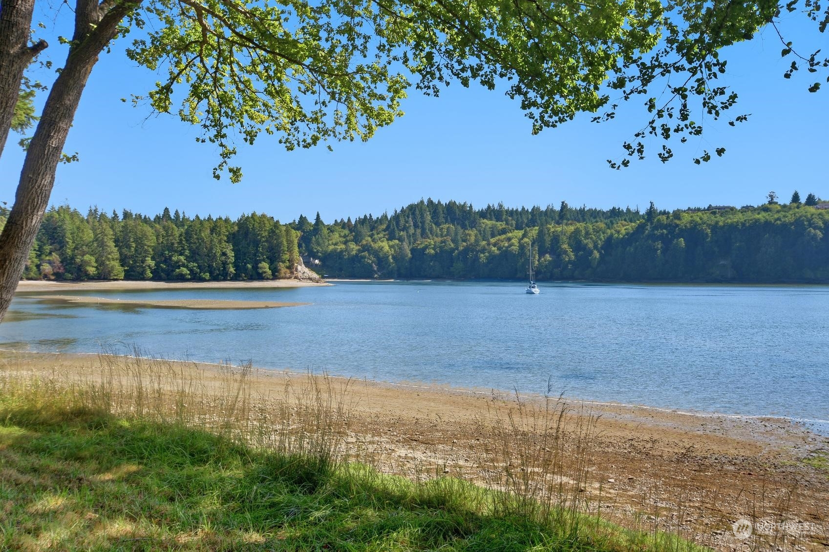 271 East Big Skookum Road Shelton, WA 98584 - Photo 1 of 24 a view of a lake with a mountain in the background