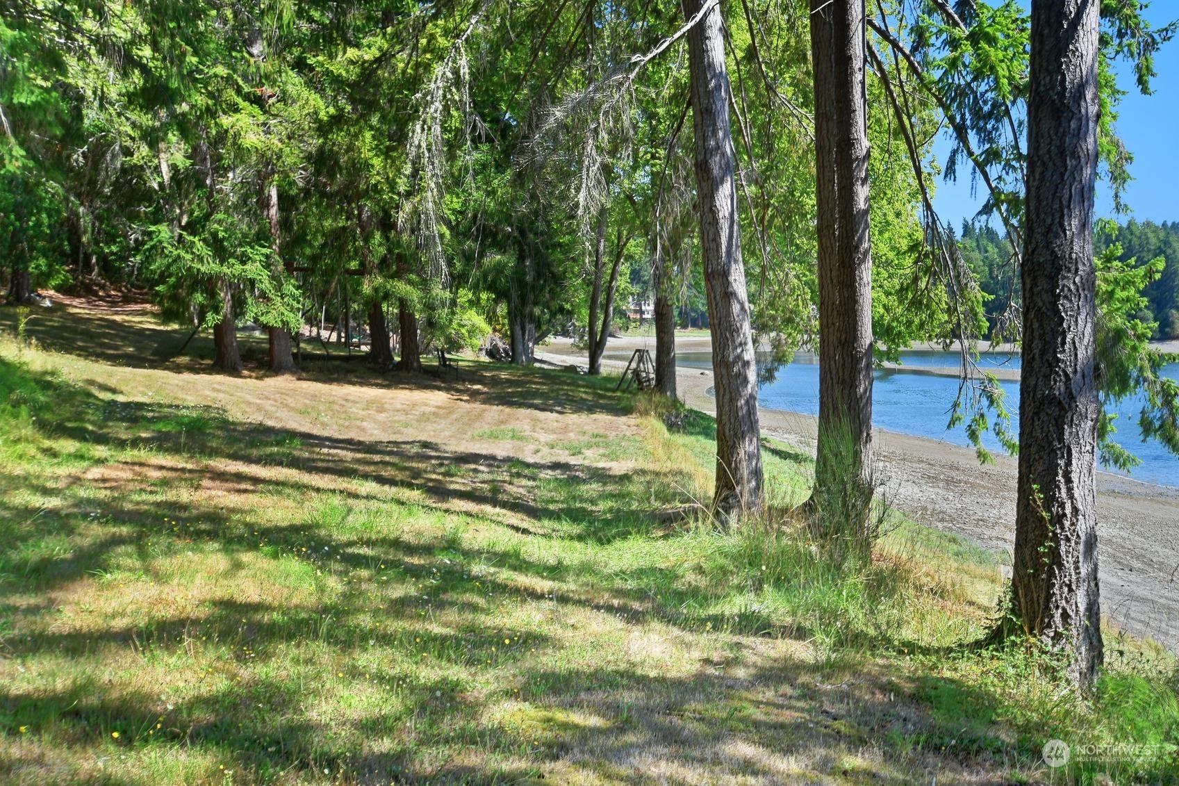 271 East Big Skookum Road Shelton, WA 98584 - Photo 11 of 24 a view of a trees in a yard