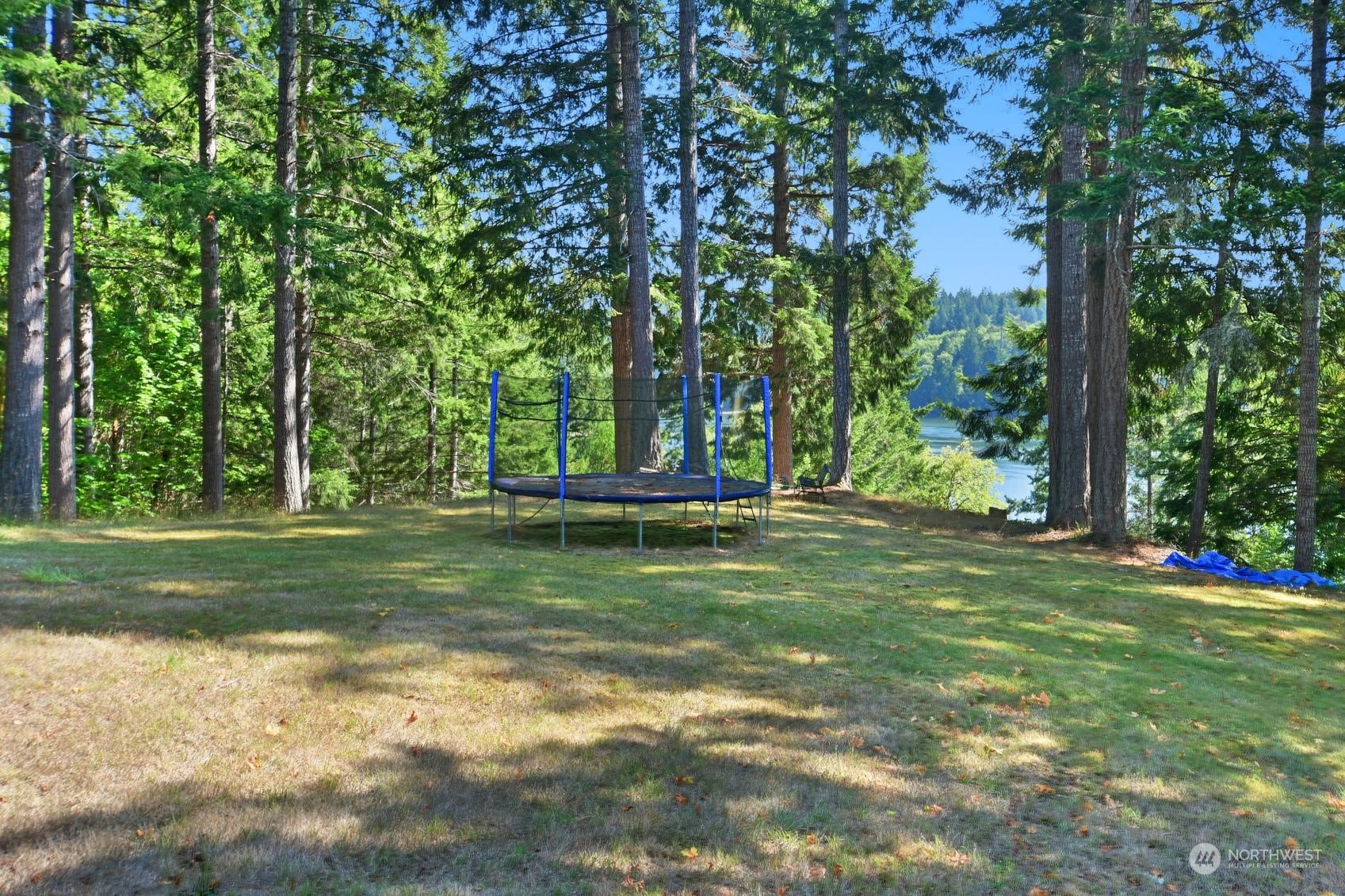 271 East Big Skookum Road Shelton, WA 98584 - Photo 13 of 24 a view of a park with large trees