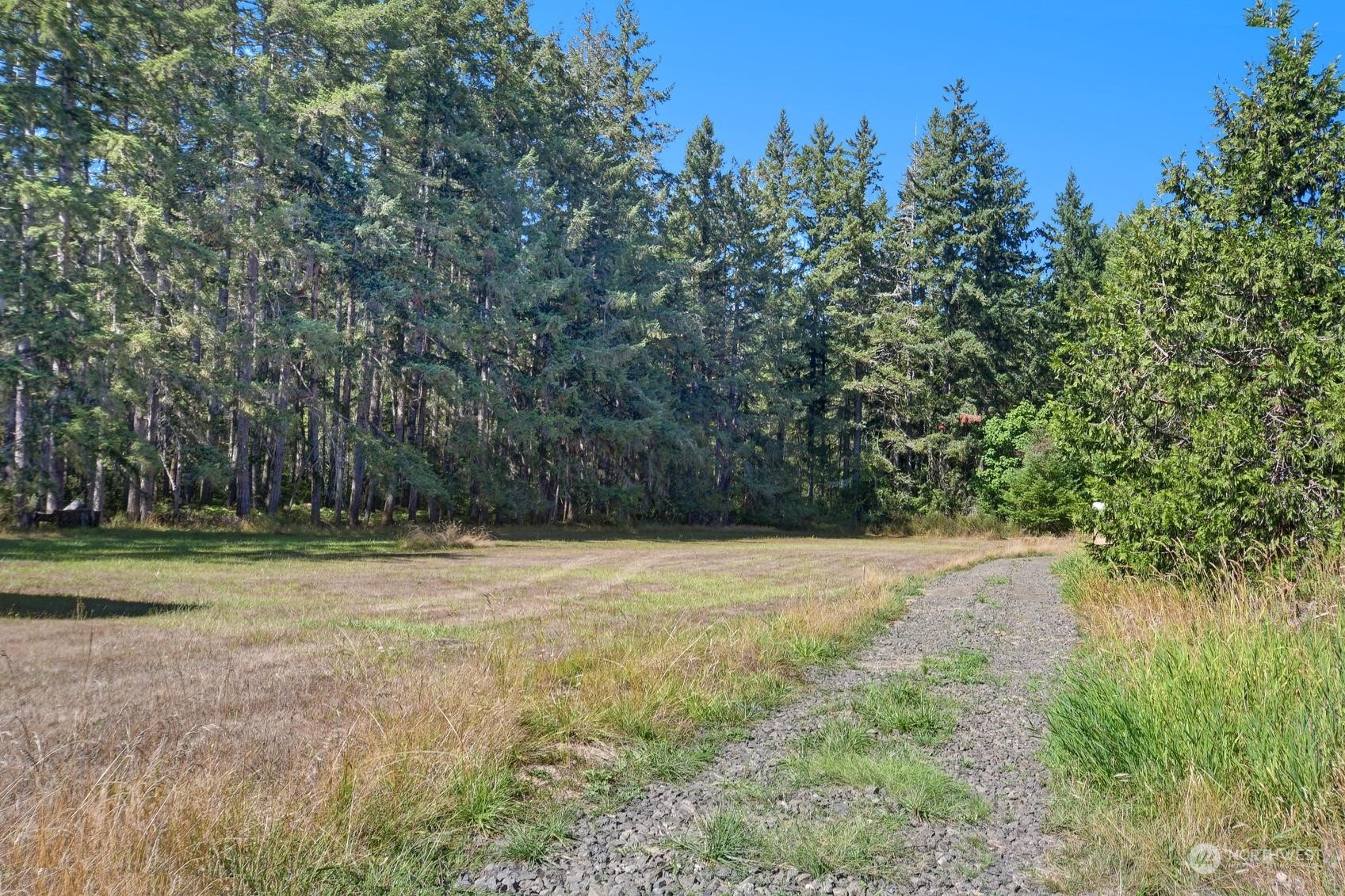 271 East Big Skookum Road Shelton, WA 98584 - Photo 8 of 24 a view of outdoor space with deck and yard