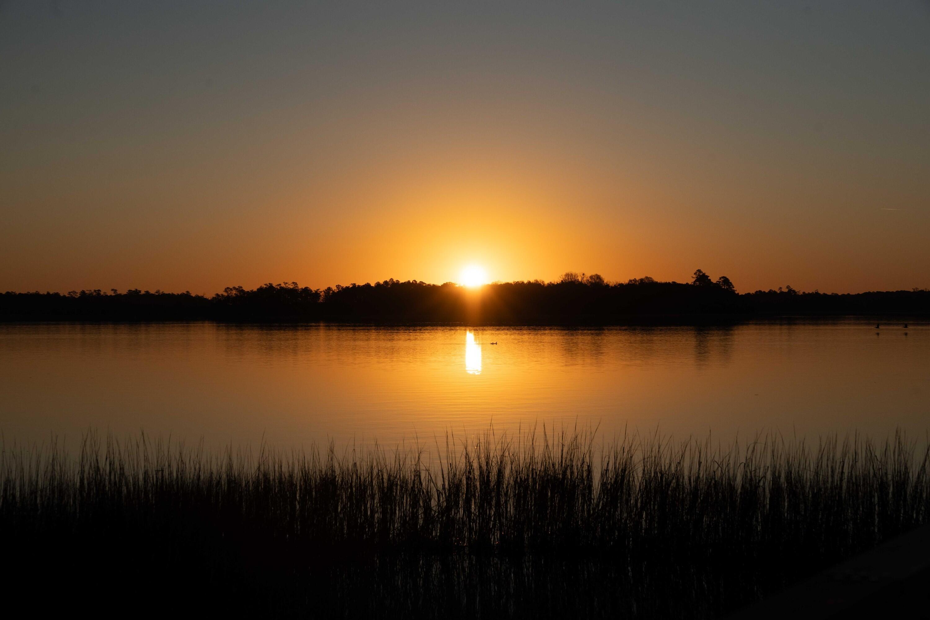 128 Etta Way Daniel Island, SC 29492 - Photo 10 of 33 photo_007