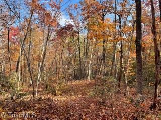 1928 Frye Road Westfield, NC 27053 - Photo 14 of 36 Gallery Image 14