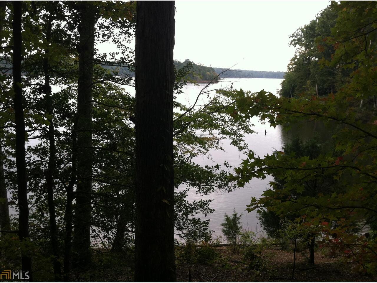 0 Craft Ferry Road Northeast Elberton, GA 30635 - Photo 1 of 1