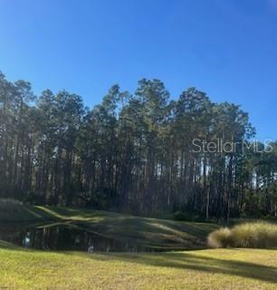 64 Redbud Road Palm Coast, FL 32137 - Photo 12 of 14 a view of a yard